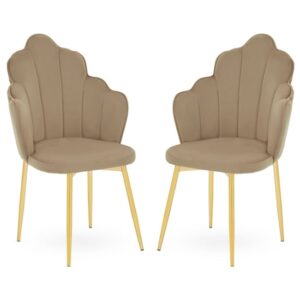 Tania Mink Velvet Dining Chairs With Gold Legs In A Pair